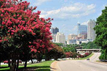 Raleigh_skyline_along_S_Saunders_st.jpg