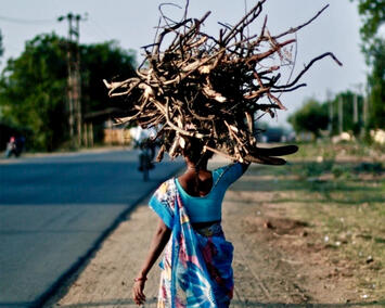 carrying-wood.jpg carrying-wood.jpg