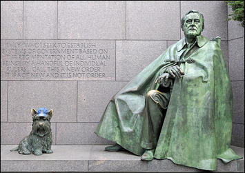 fdr.jpg