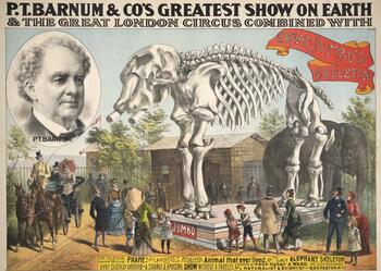 ptBarnam-circus-vintage.jpeg