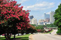 Raleigh_skyline_along_S_Saunders_st.jpg