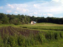 Vermont, Four Springs Farm.jpg