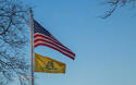 flags-dont-tread-on-me.jpg